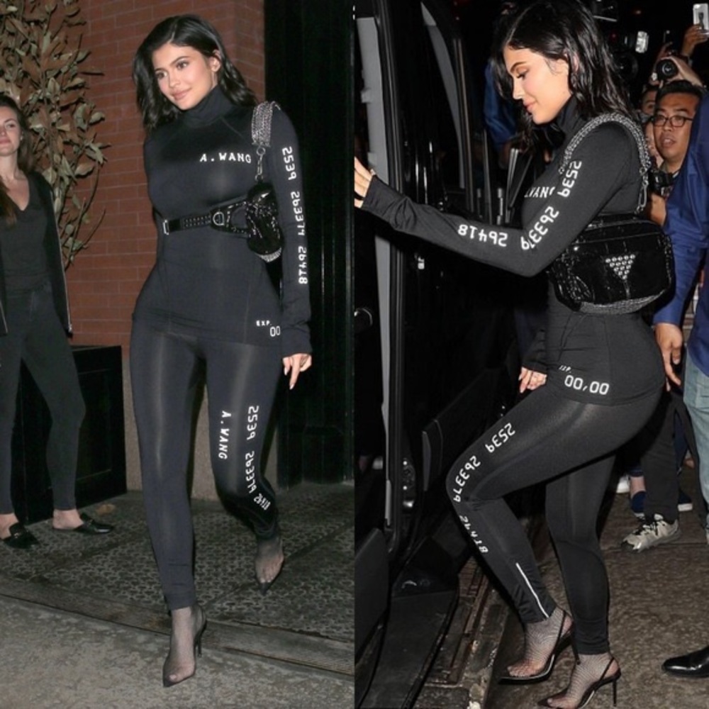 NWT Alexander Wang Credit Card Leggings ASO Kylie